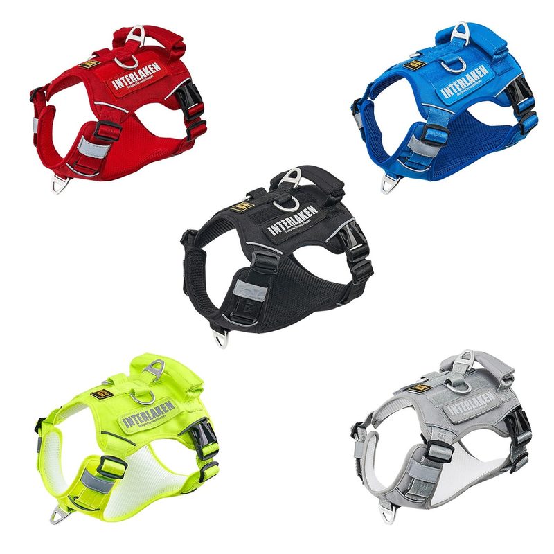 INTERLAKEN Custom Harness