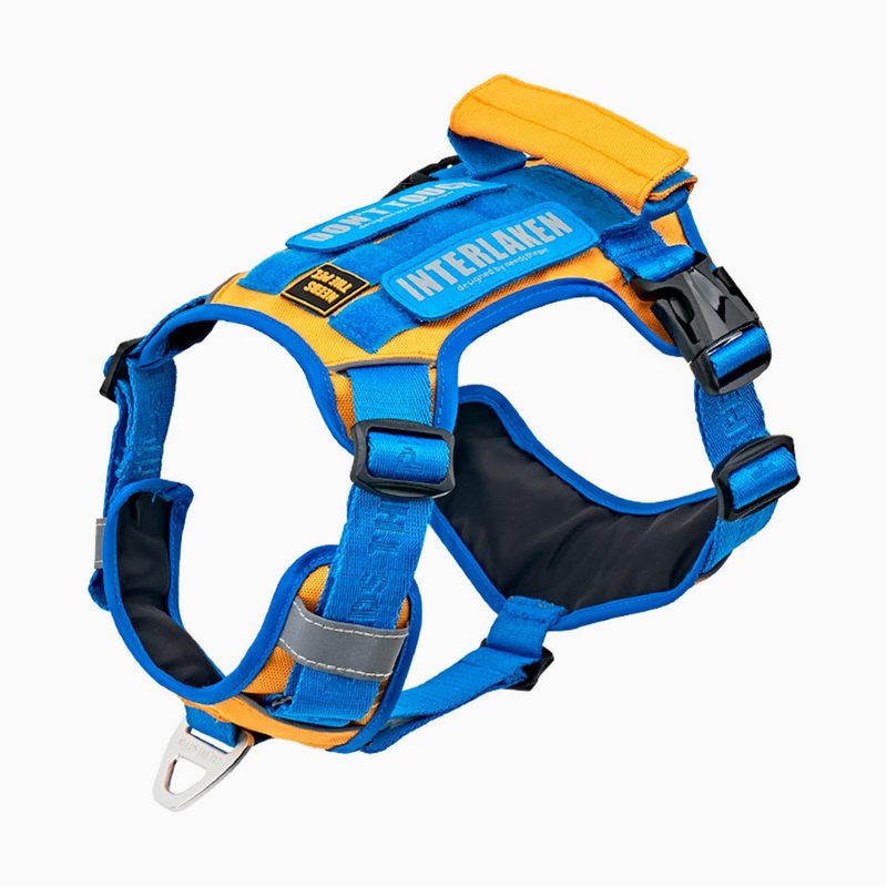 INTERLAKEN Slim 2.0 Ultralight Harness