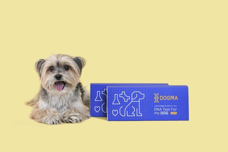 DOGMA DNA Test for Dogs