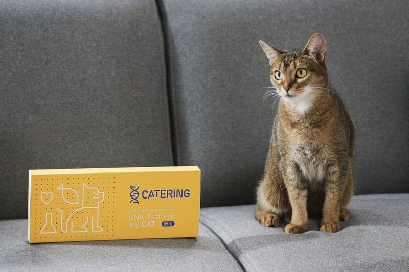 View larger CATERING DNA Test for Cats