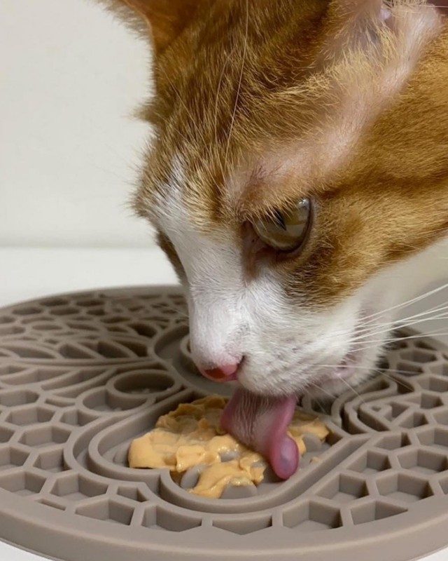SILIKING Nose-work Lick Mat